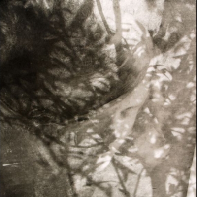 Les Psaumes de l'âme